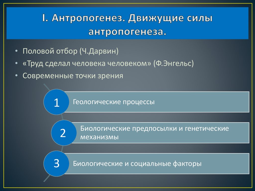 I. Антропогенез. Движущие силы антропогенеза.