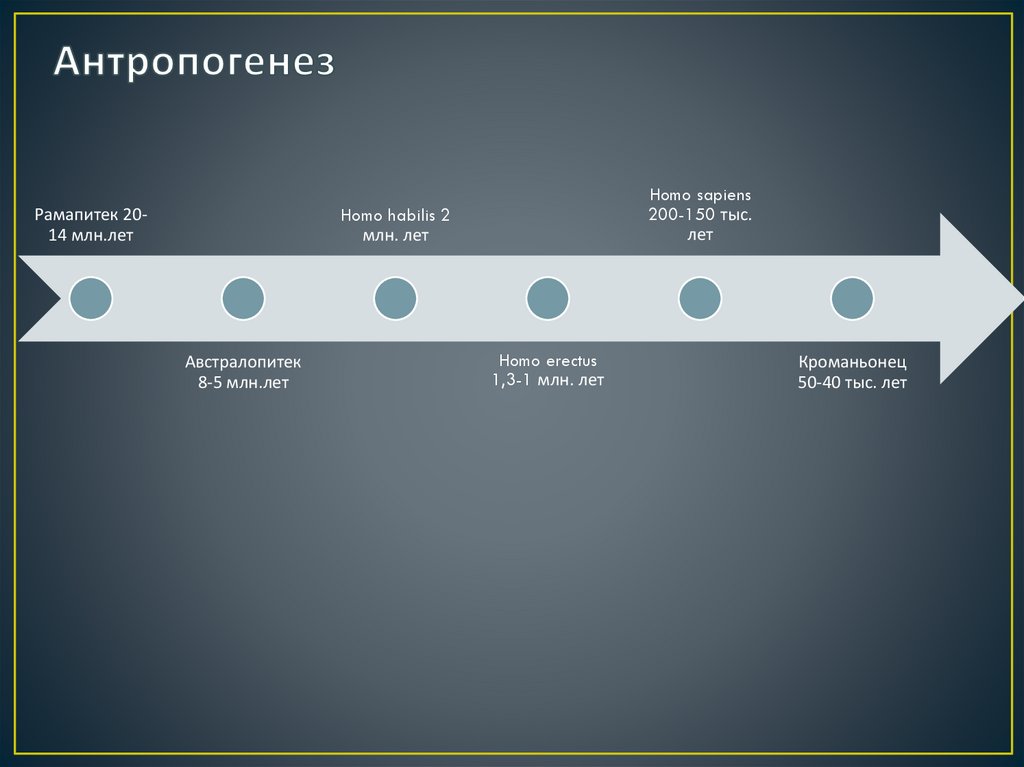 Антропогенез