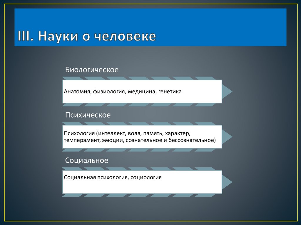 III. Науки о человеке