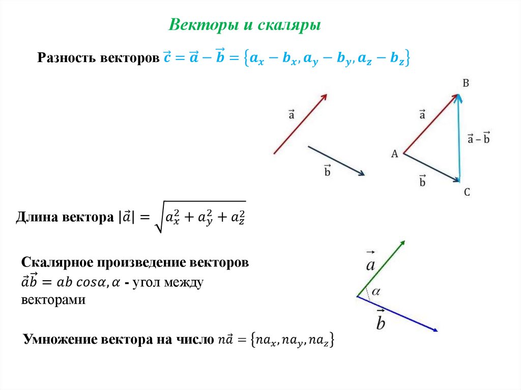 Векторы и скаляры