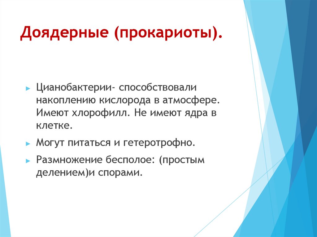 Доядерные (прокариоты).