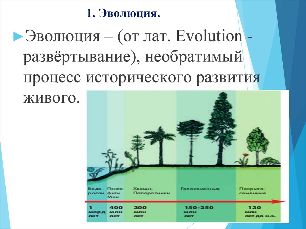 1. Эволюция. 