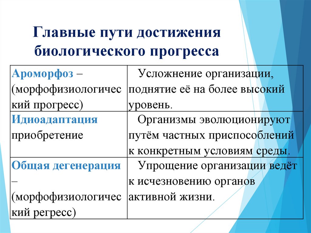 Главные пути достижения биологического прогресса