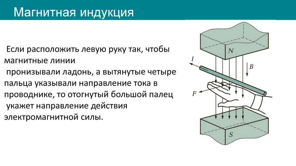 Магнитная индукция