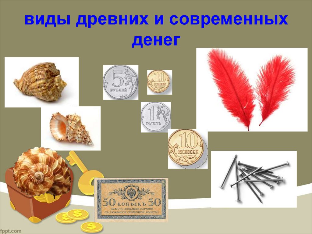 виды древних и современных денег