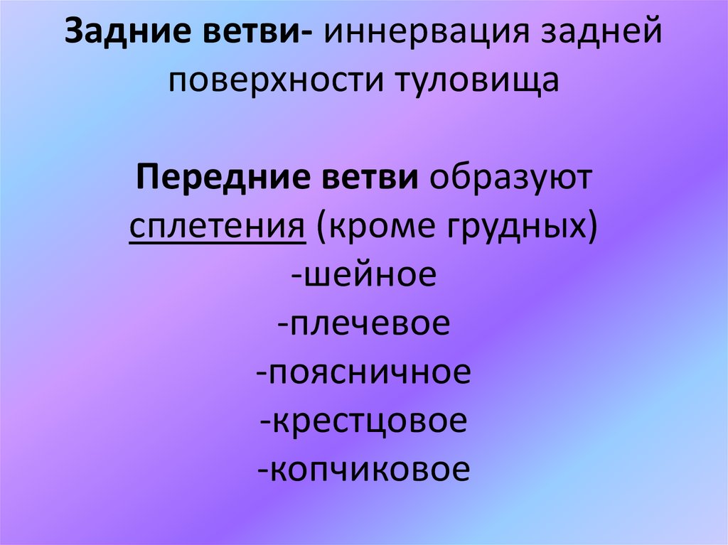 Задние ветви- иннервация задней поверхности туловища Передние ветви образуют сплетения (кроме грудных) -шейное -плечевое