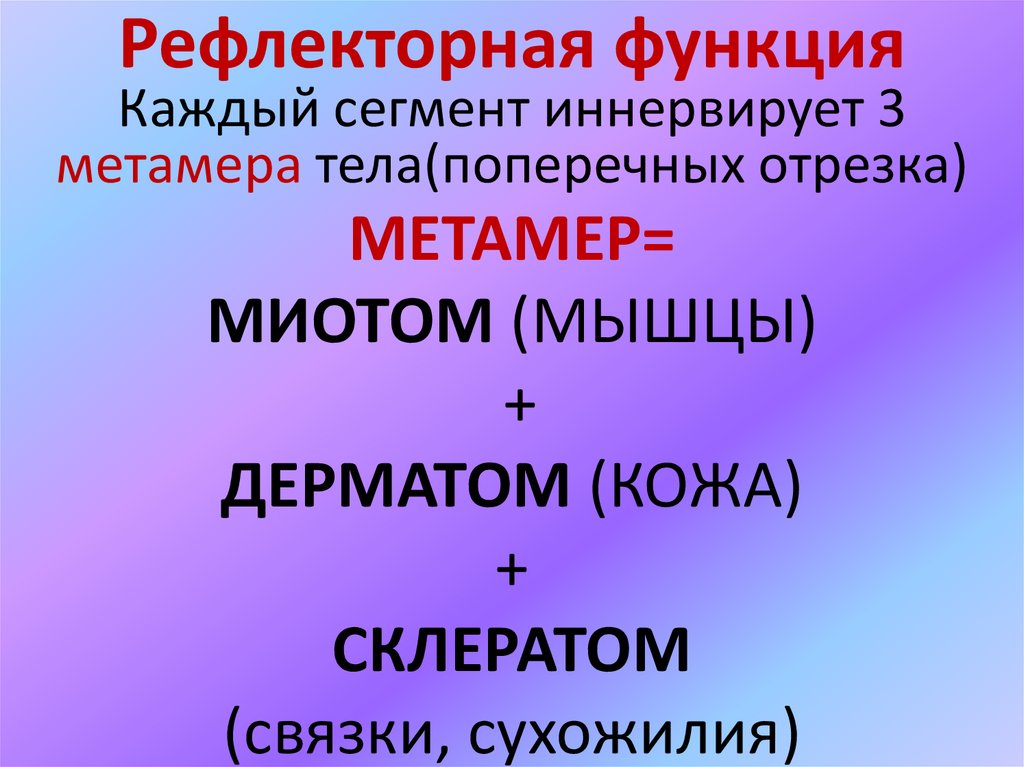 Рефлекторная функция