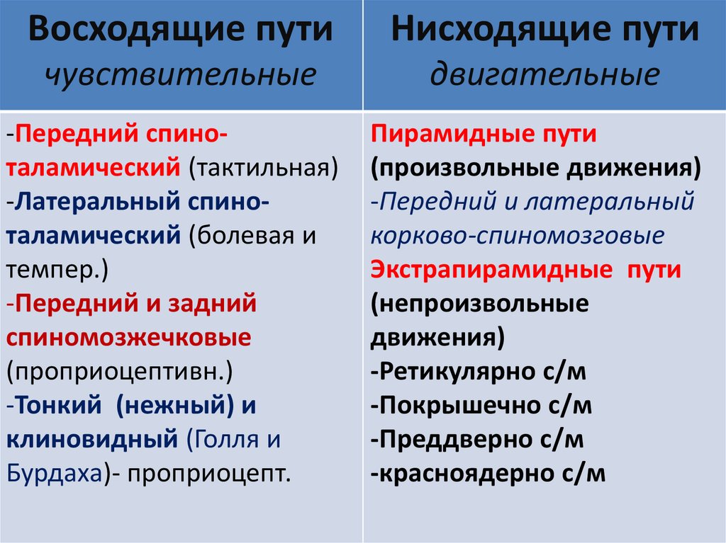 ПРОВОДНИКОВАЯ ФУНКЦИЯ