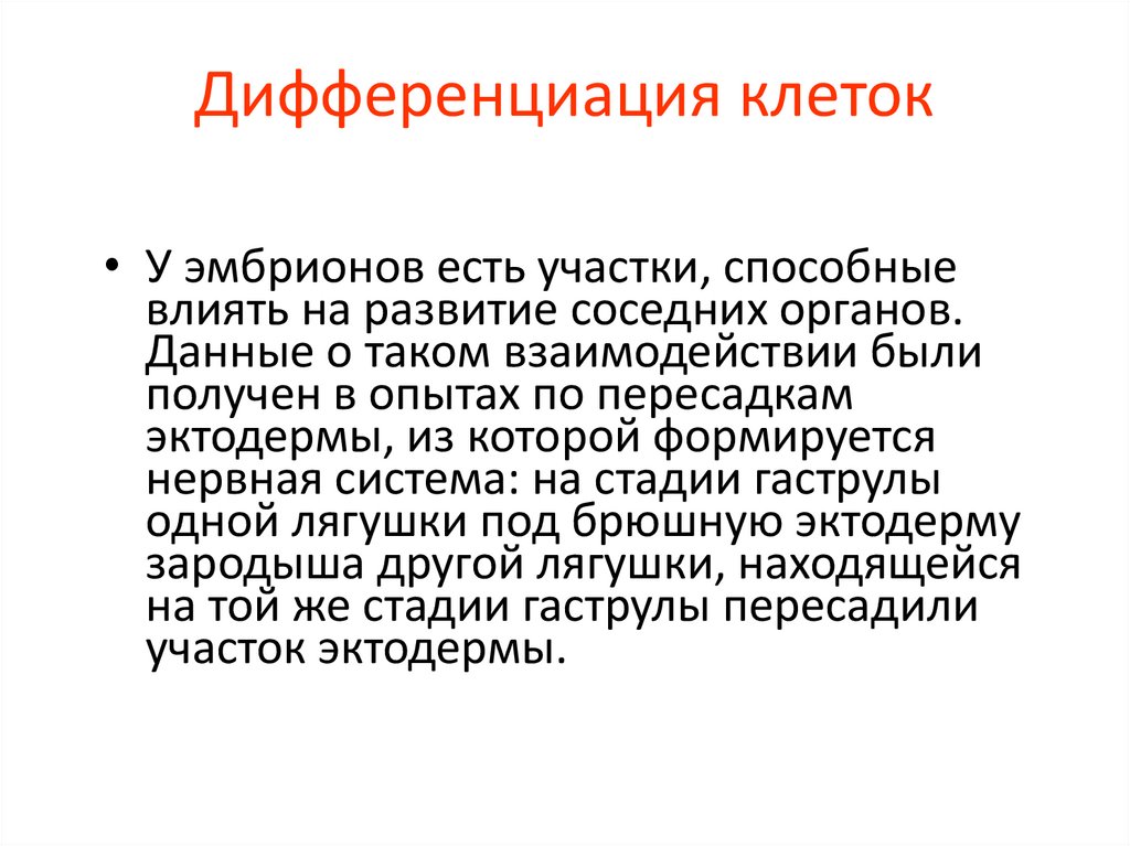 Дифференциация клеток