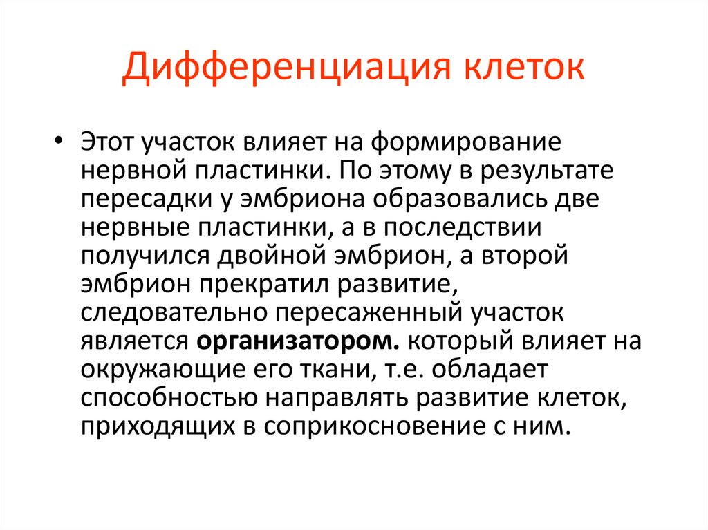 Дифференциация клеток