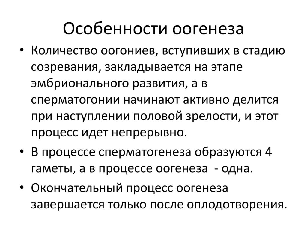 Особенности оогенеза