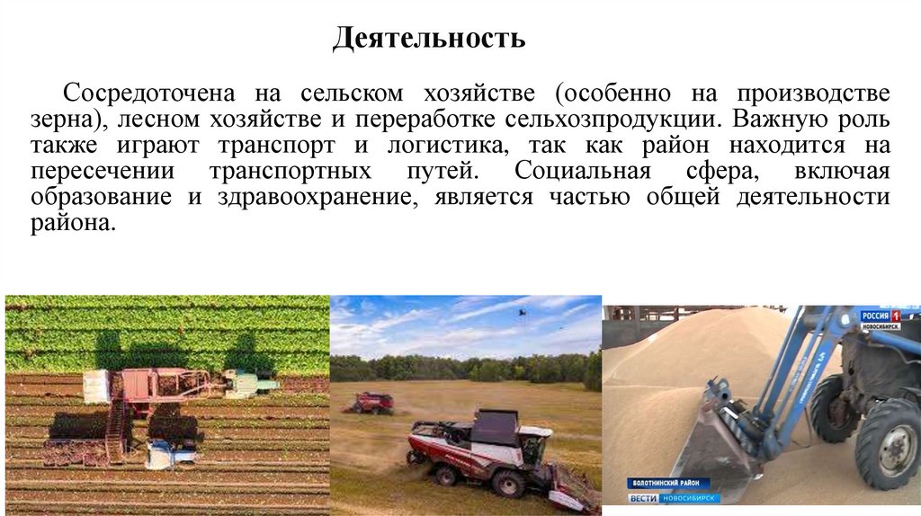 Деятельность