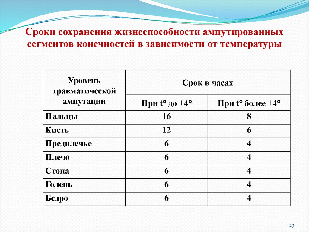Сроки сохранения жизнеспособности ампутированных сегментов конечностей в зависимости от температуры