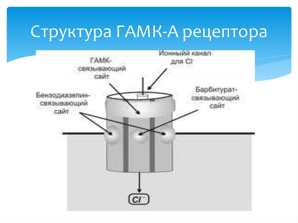 Структура ГАМК-А рецептора