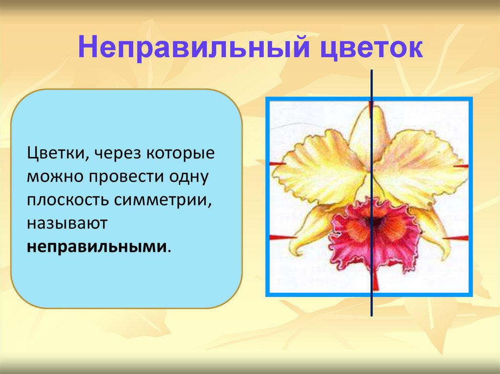 Неправильный цветок