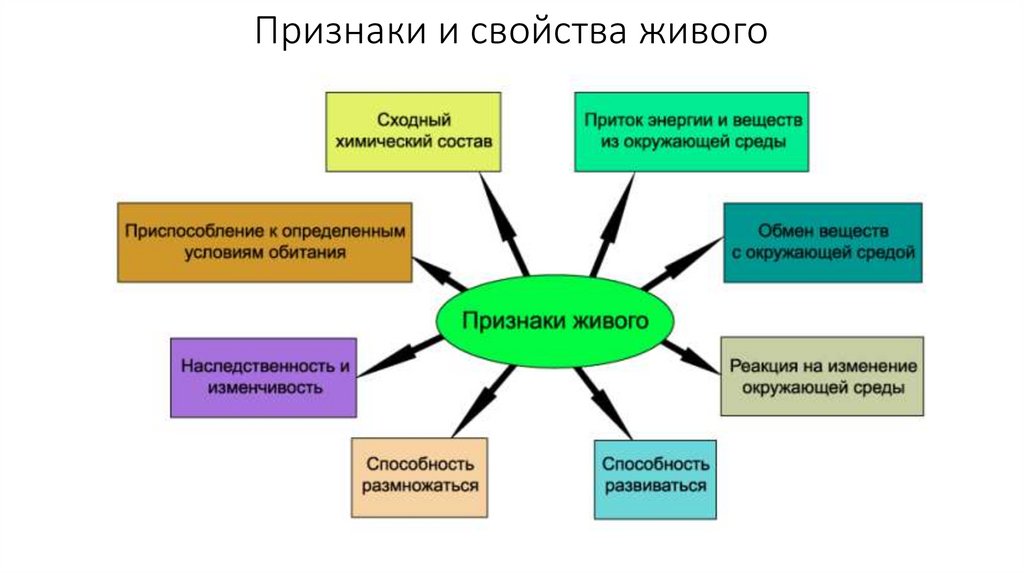 Признаки и свойства живого