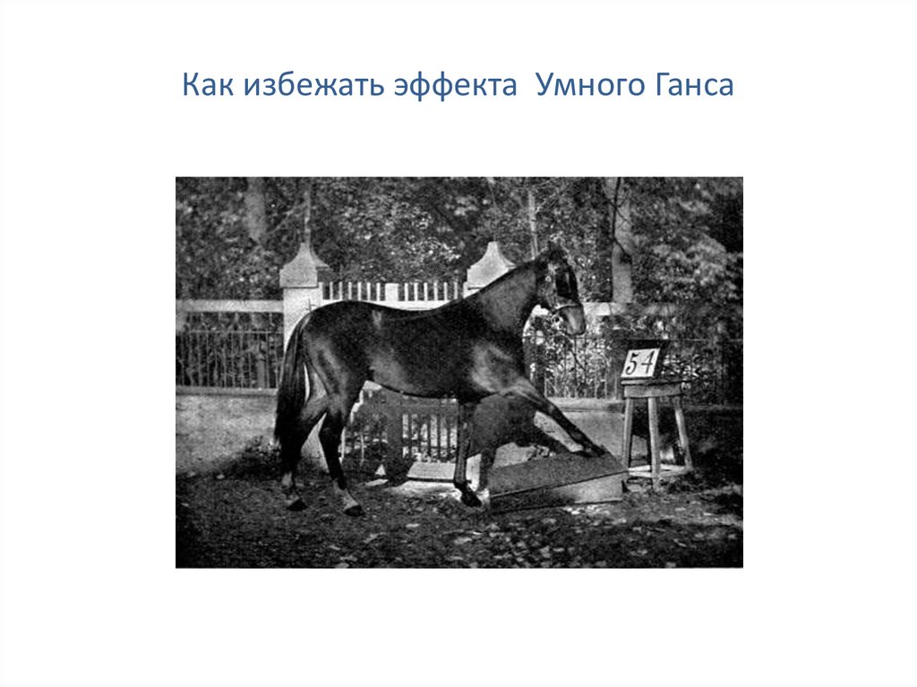 Как избежать эффекта Умного Ганса