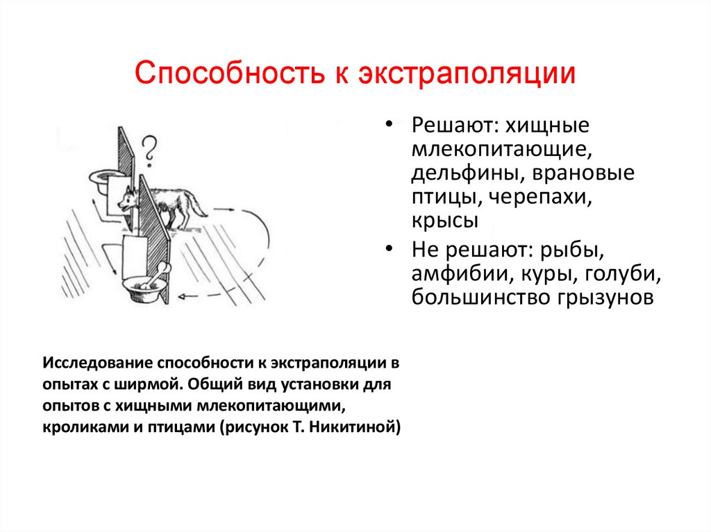 Способность к экстраполяции