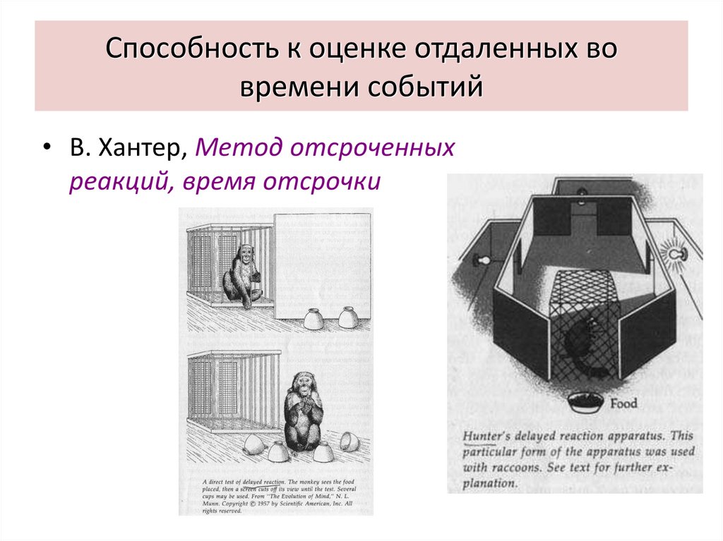 Способность к оценке отдаленных во времени событий