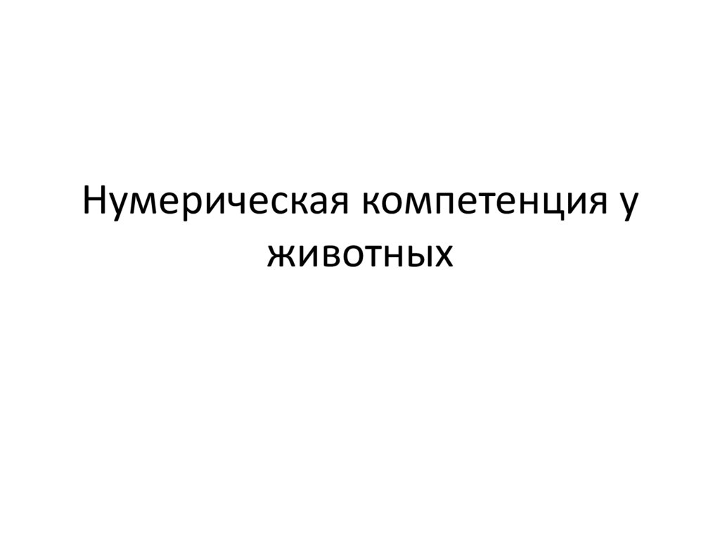 Нумерическая компетенция у животных