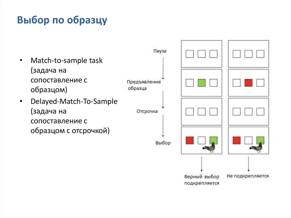 Выбор по образцу