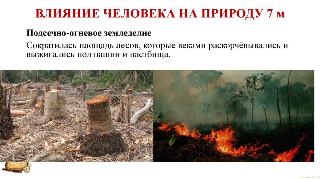 ВЛИЯНИЕ ЧЕЛОВЕКА НА ПРИРОДУ 7 м