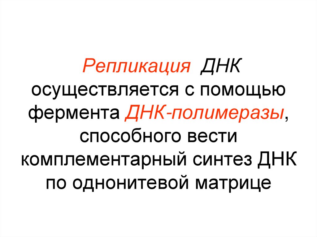 Репликация ДНК осуществляется с помощью фермента ДНК-полимеразы, способного вести комплементарный синтез ДНК по однонитевой