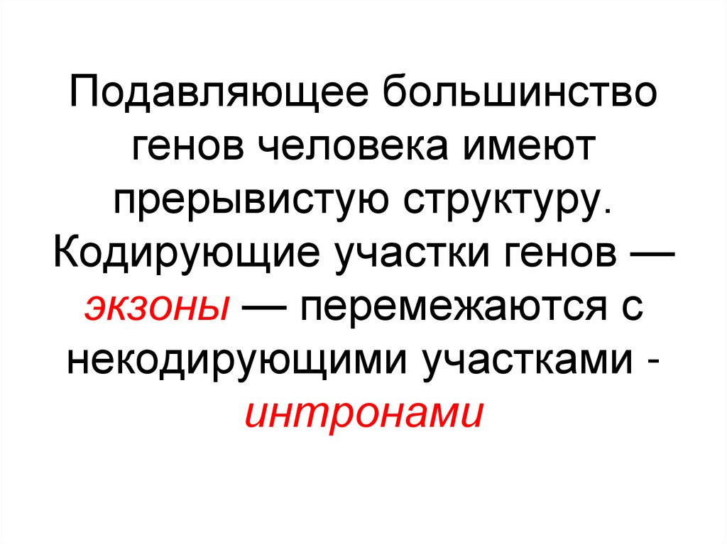 Подавляющее большинство генов человека имеют прерывистую структуру. Кодирующие участки генов — экзоны — перемежаются с