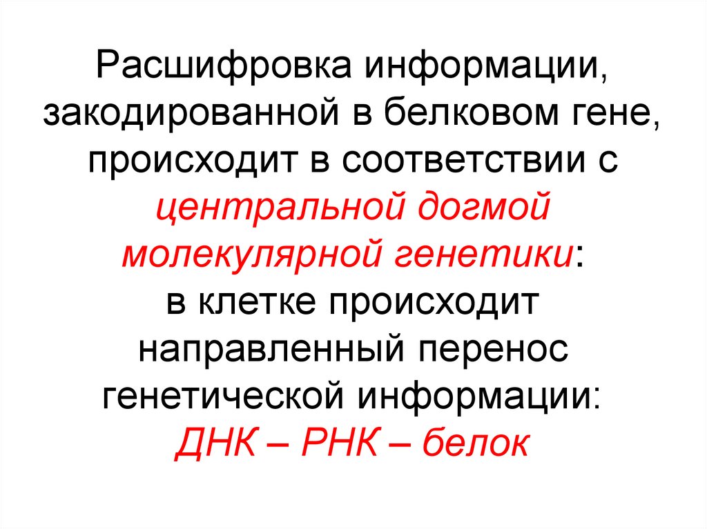 Расшифровка информации, закодированной в белковом гене, происходит в соответствии с центральной догмой молекулярной генетики: в