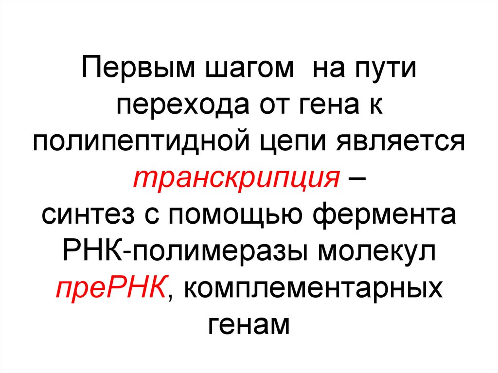 Первым шагом на пути перехода от гена к полипептидной цепи является транскрипция – синтез с помощью фермента РНК-полимеразы