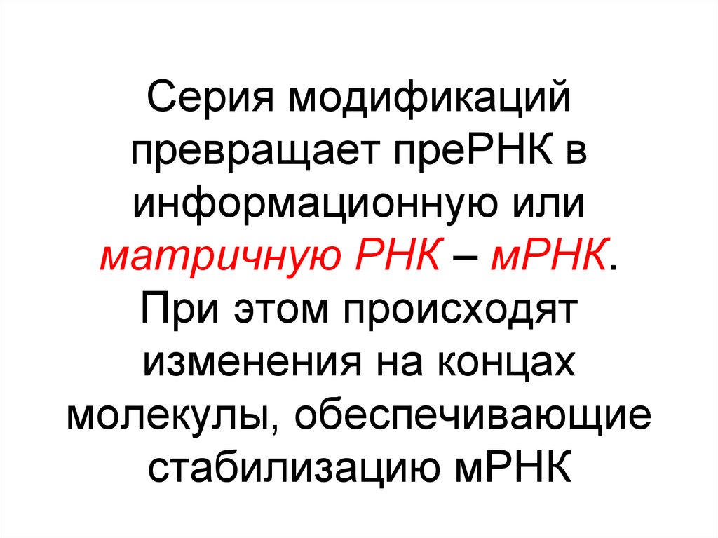 Серия модификаций превращает преРНК в информационную или матричную РНК – мРНК. При этом происходят изменения на концах