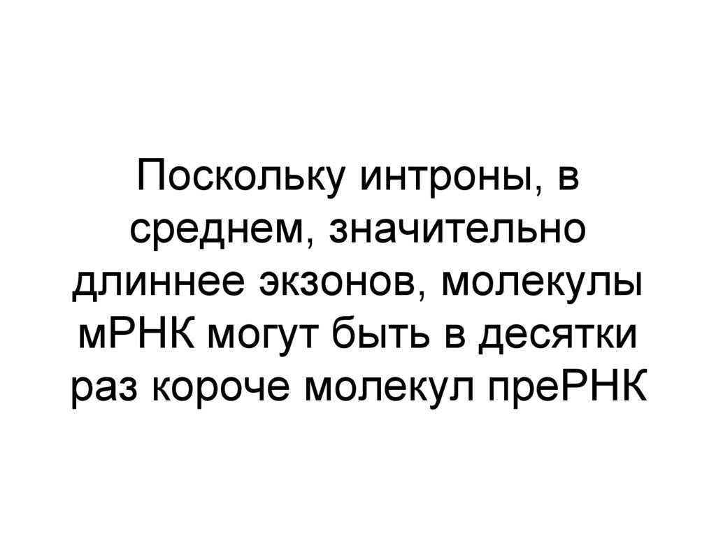 Поскольку интроны, в среднем, значительно длиннее экзонов, молекулы мРНК могут быть в десятки раз короче молекул преРНК