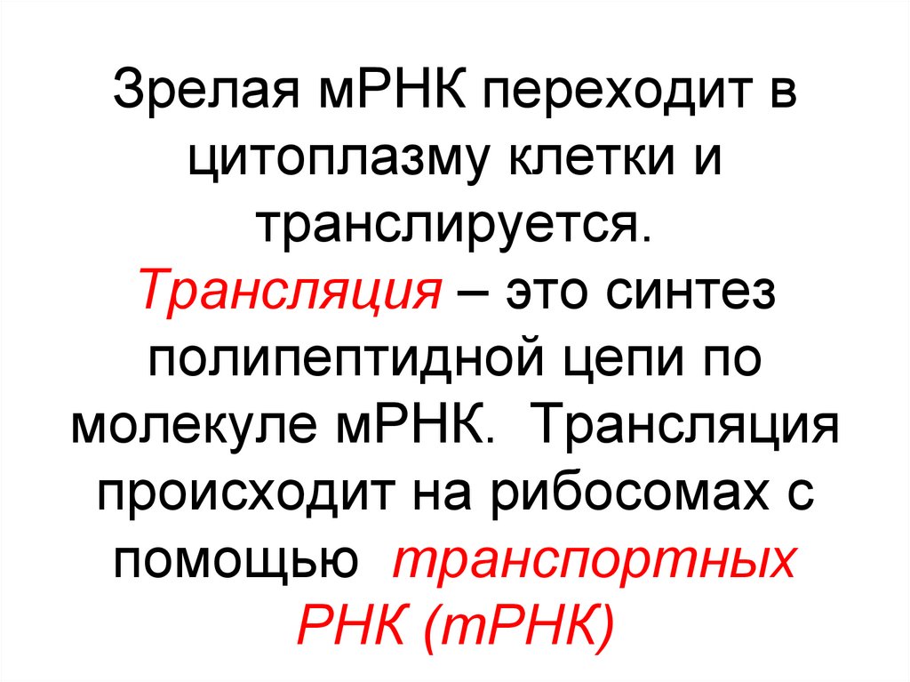 Зрелая мРНК переходит в цитоплазму клетки и транслируется. Трансляция – это синтез полипептидной цепи по молекуле мРНК.