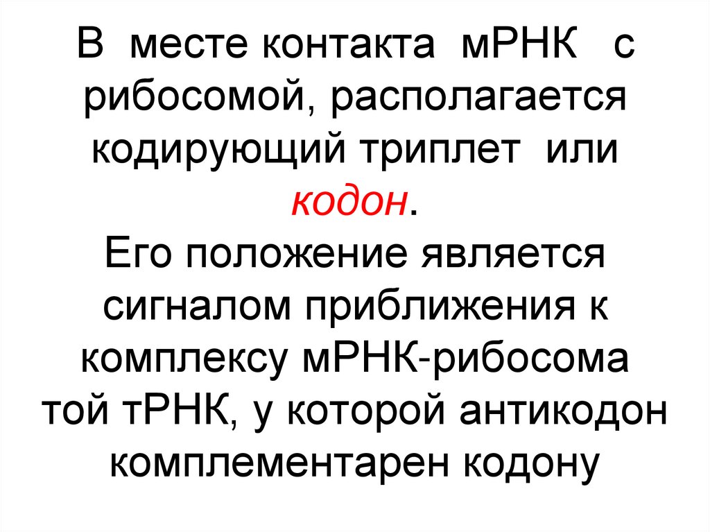 В месте контакта мРНК с рибосомой, располагается кодирующий триплет или кодон. Его положение является сигналом приближения к