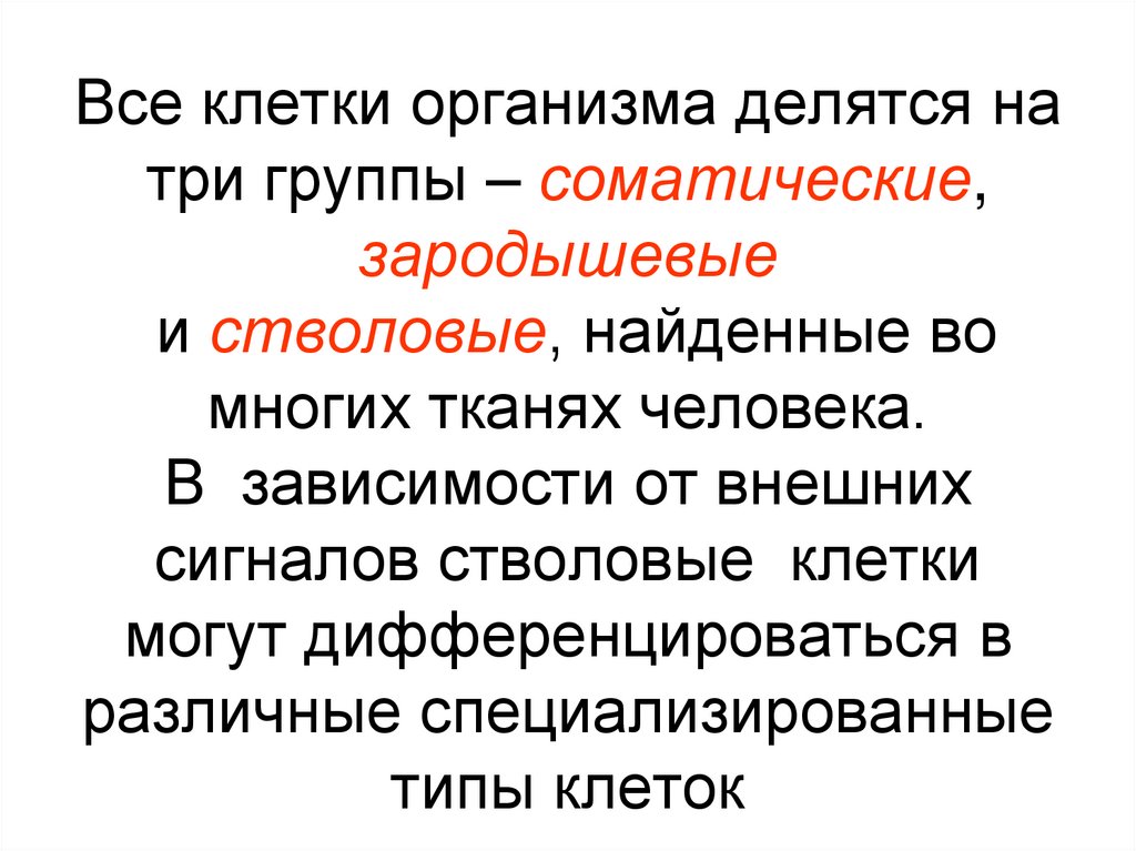Все клетки организма делятся на три группы – соматические, зародышевые и стволовые, найденные во многих тканях человека. В