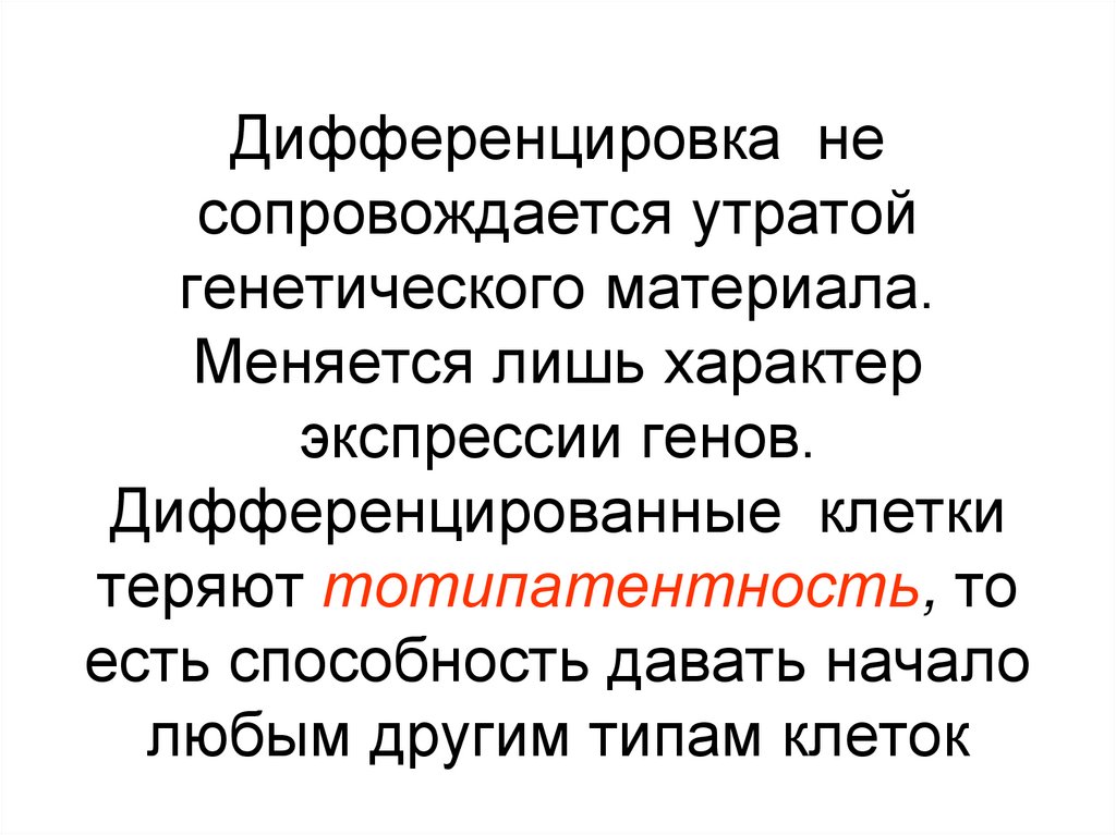 Дифференцировка не сопровождается утратой генетического материала. Меняется лишь характер экспрессии генов. Дифференцированные