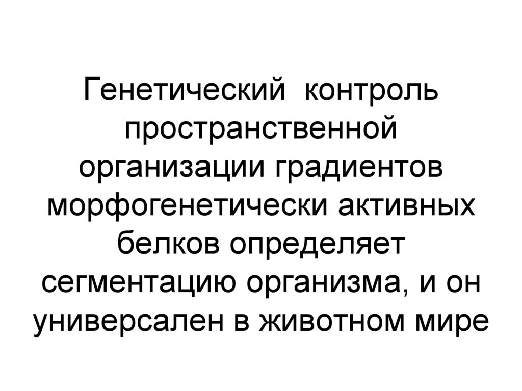Генетический контроль пространственной организации градиентов морфогенетически активных белков определяет сегментацию