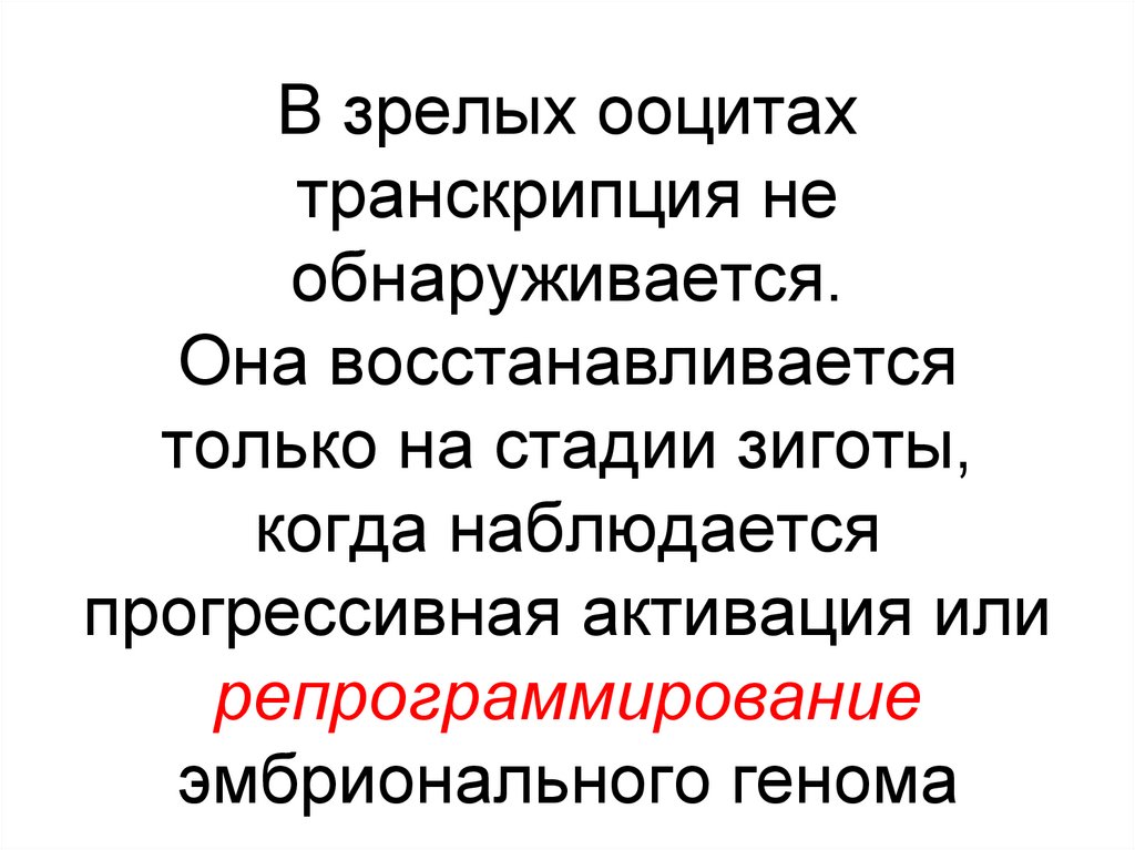 В зрелых ооцитах транскрипция не обнаруживается. Она восстанавливается только на стадии зиготы, когда наблюдается прогрессивная