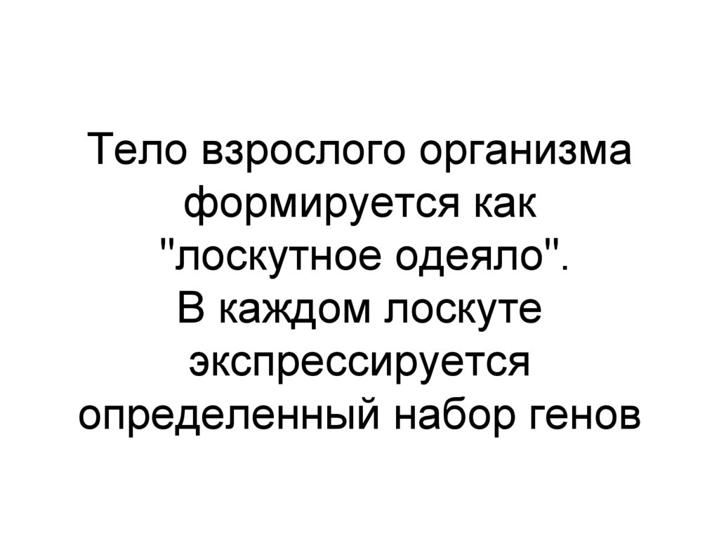 Тело взрослого организма формируется как "лоскутное одеяло". В каждом лоскуте экспрессируется определенный набор генов