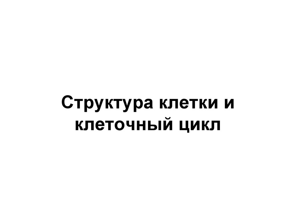 Структура клетки и клеточный цикл