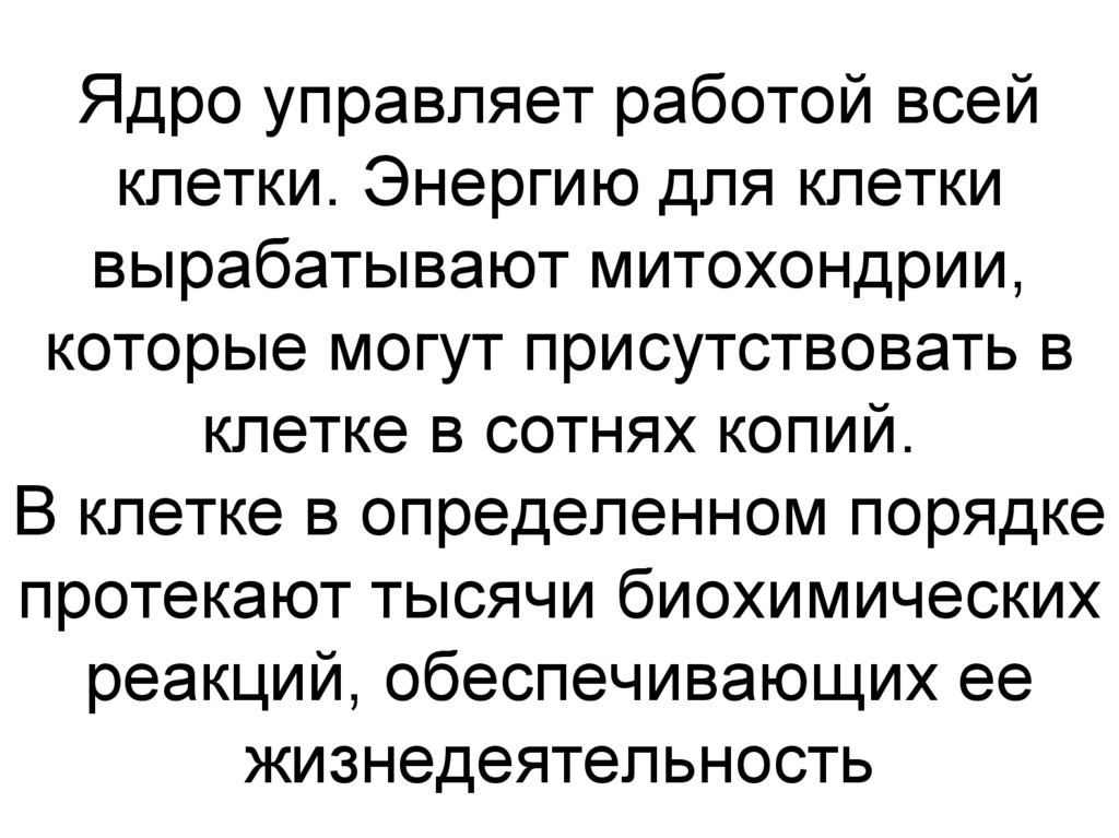 Ядро управляет работой всей клетки. Энергию для клетки вырабатывают митохондрии, которые могут присутствовать в клетке в сотнях