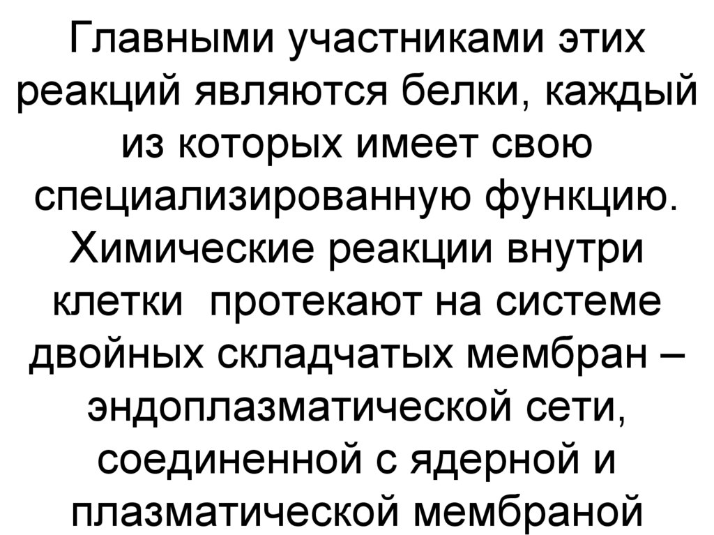Главными участниками этих реакций являются белки, каждый из которых имеет свою специализированную функцию. Химические реакции