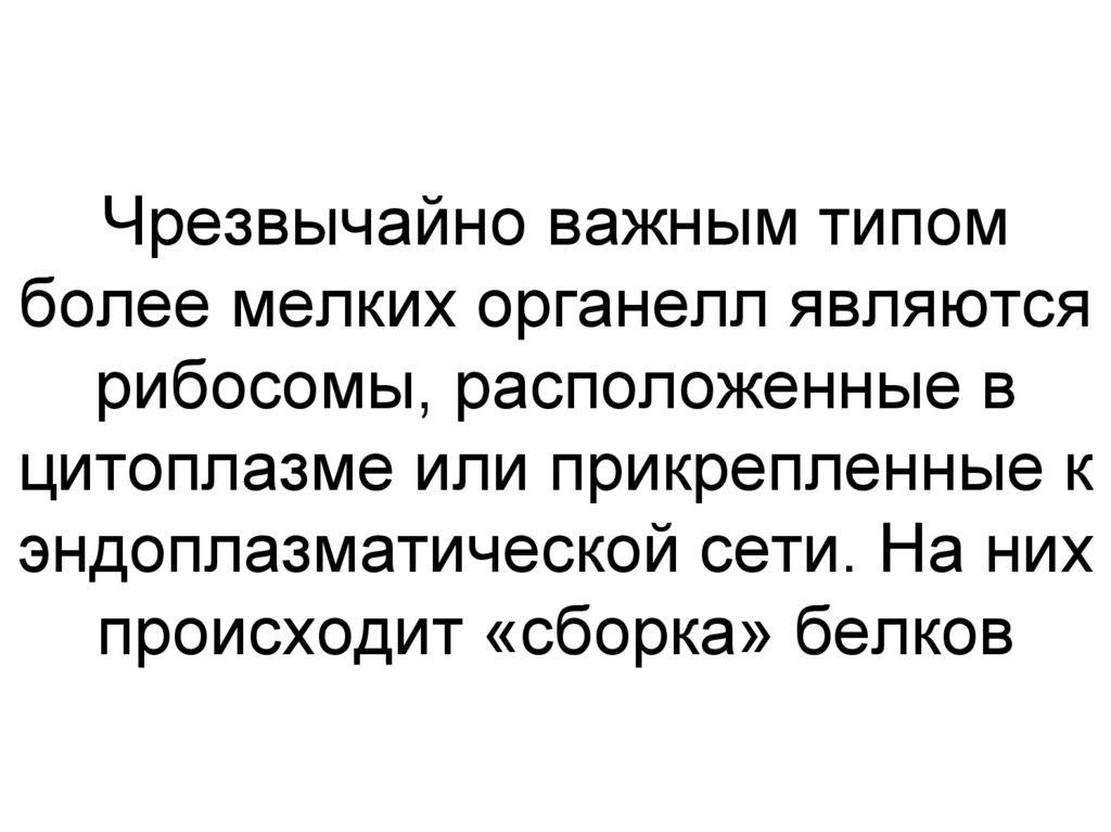 Чрезвычайно важным типом более мелких органелл являются рибосомы, расположенные в цитоплазме или прикрепленные к