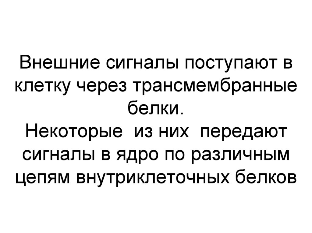Внешние сигналы поступают в клетку через трансмембранные белки. Некоторые из них передают сигналы в ядро по различным цепям