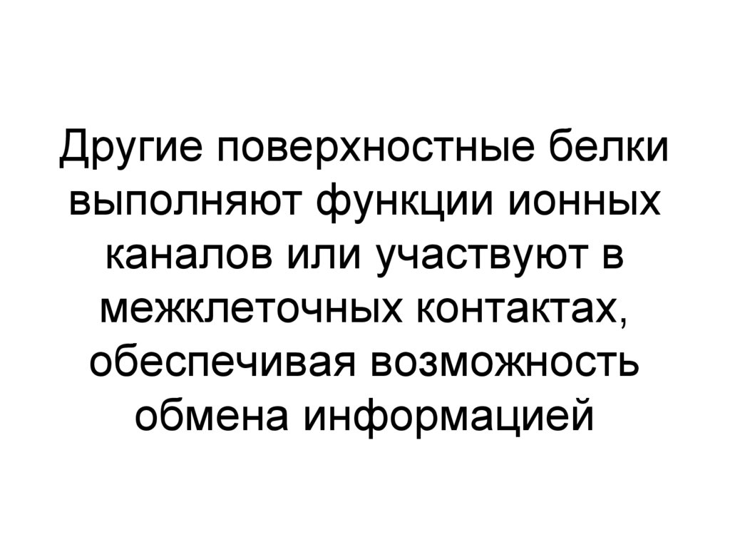Другие поверхностные белки выполняют функции ионных каналов или участвуют в межклеточных контактах, обеспечивая возможность