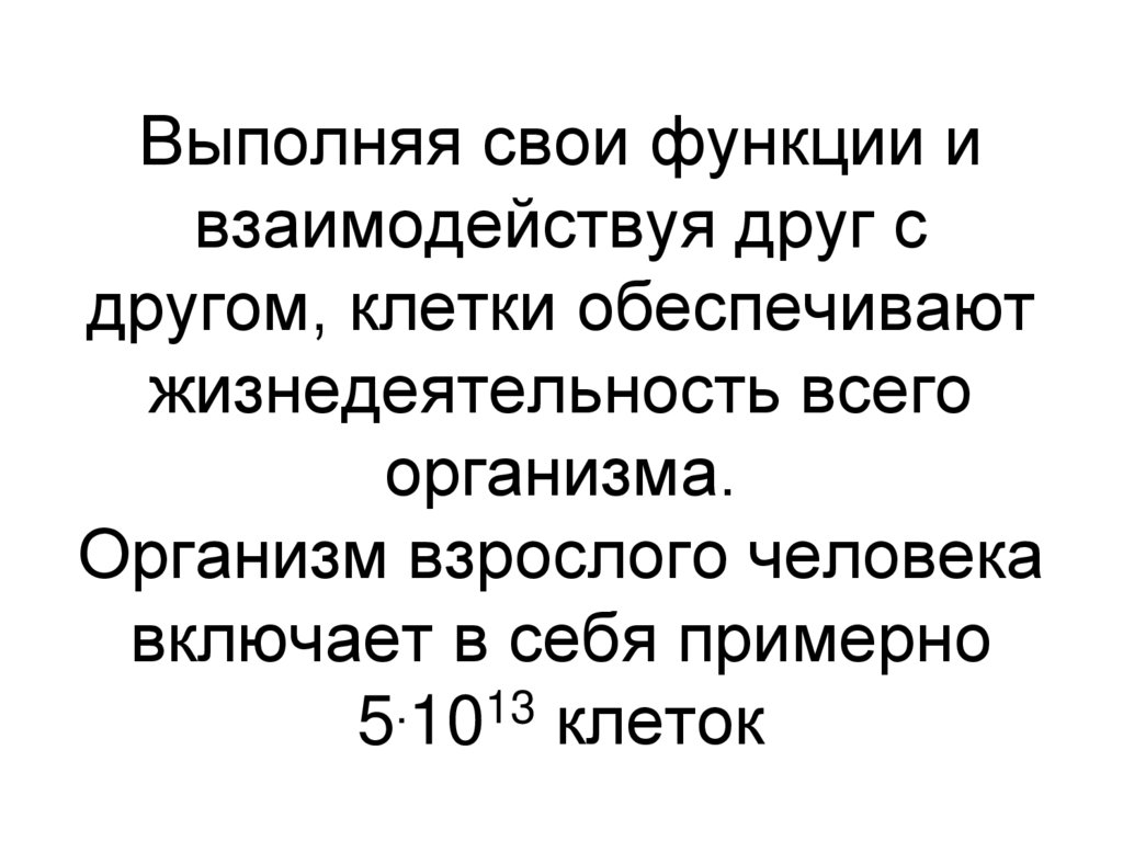 Выполняя свои функции и взаимодействуя друг с другом, клетки обеспечивают жизнедеятельность всего организма. Организм взрослого