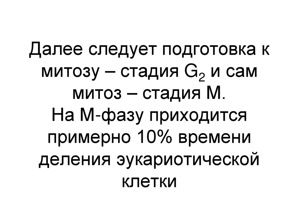 Далее следует подготовка к митозу – стадия G2 и сам митоз – стадия М. На М-фазу приходится примерно 10% времени деления