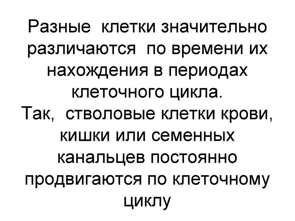 Разные клетки значительно различаются по времени их нахождения в периодах клеточного цикла. Так, стволовые клетки крови, кишки