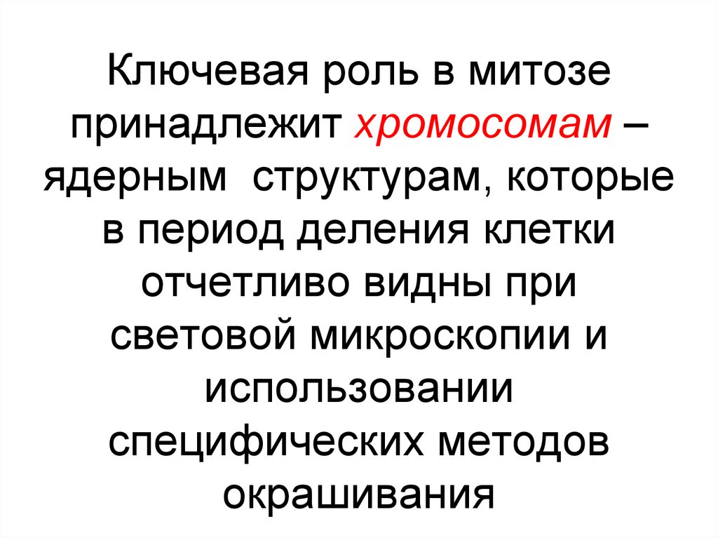 Ключевая роль в митозе принадлежит хромосомам – ядерным структурам, которые в период деления клетки отчетливо видны при