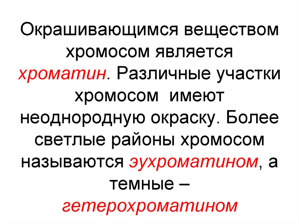 Окрашивающимся веществом хромосом является хроматин. Различные участки хромосом имеют неоднородную окраску. Более светлые